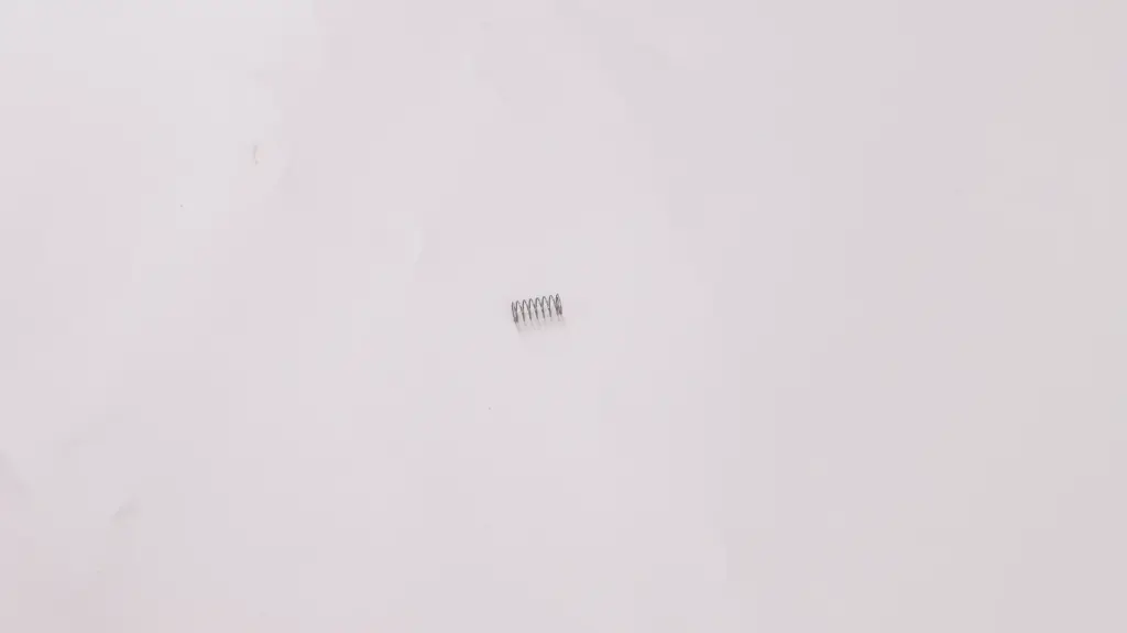 Anti-Leak Valve Spring