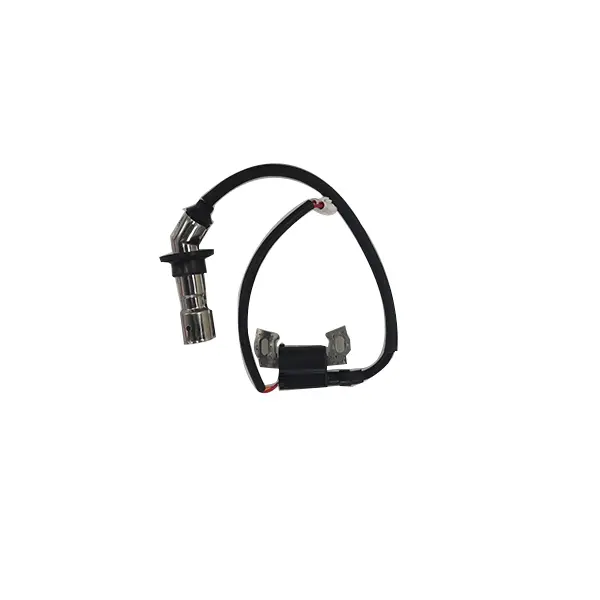 D12000i - Ignition Coil (RATO)
