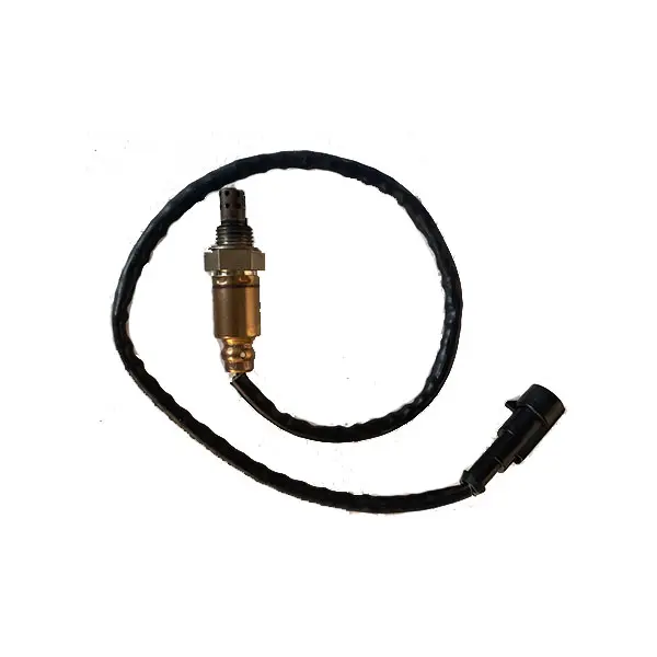D12000i - Oxygen Sensor (RATO)