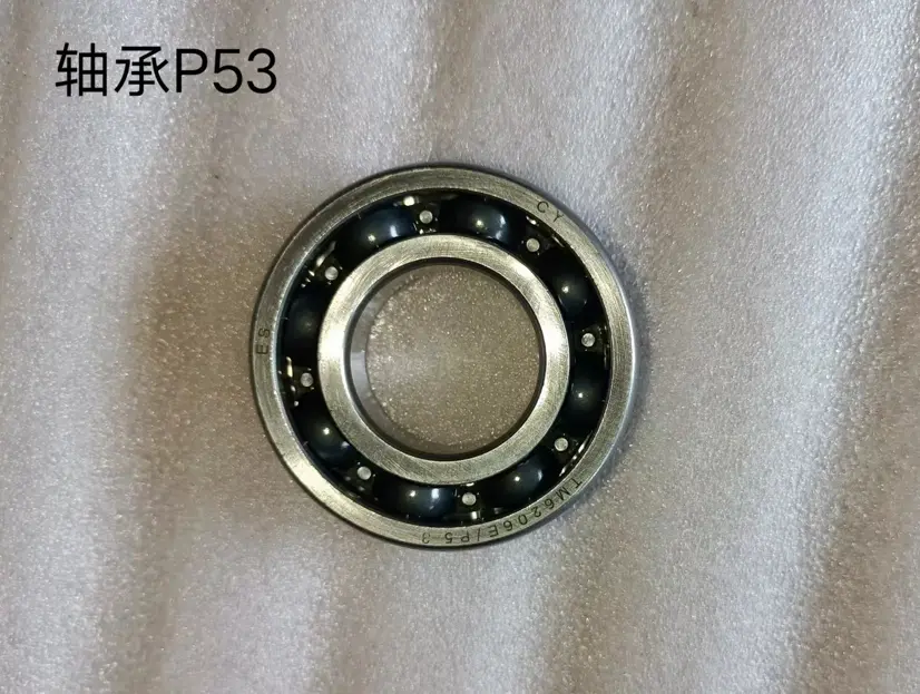 D12000i-Deep Groove Ball Bearing-P53 (RATO)
