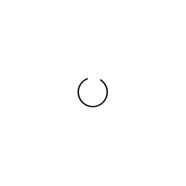 D6000i - Piston Pin Circlip (RATO)