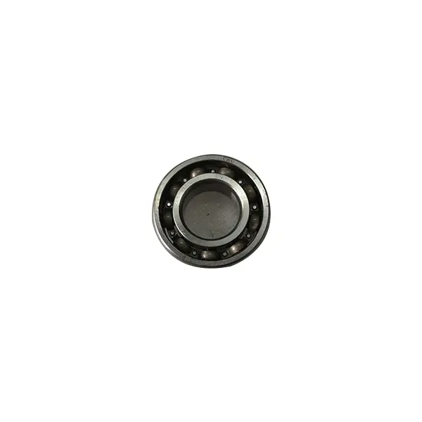 D6000i - Spherical Deep Groove Ball Bearing-P53 (RATO)
