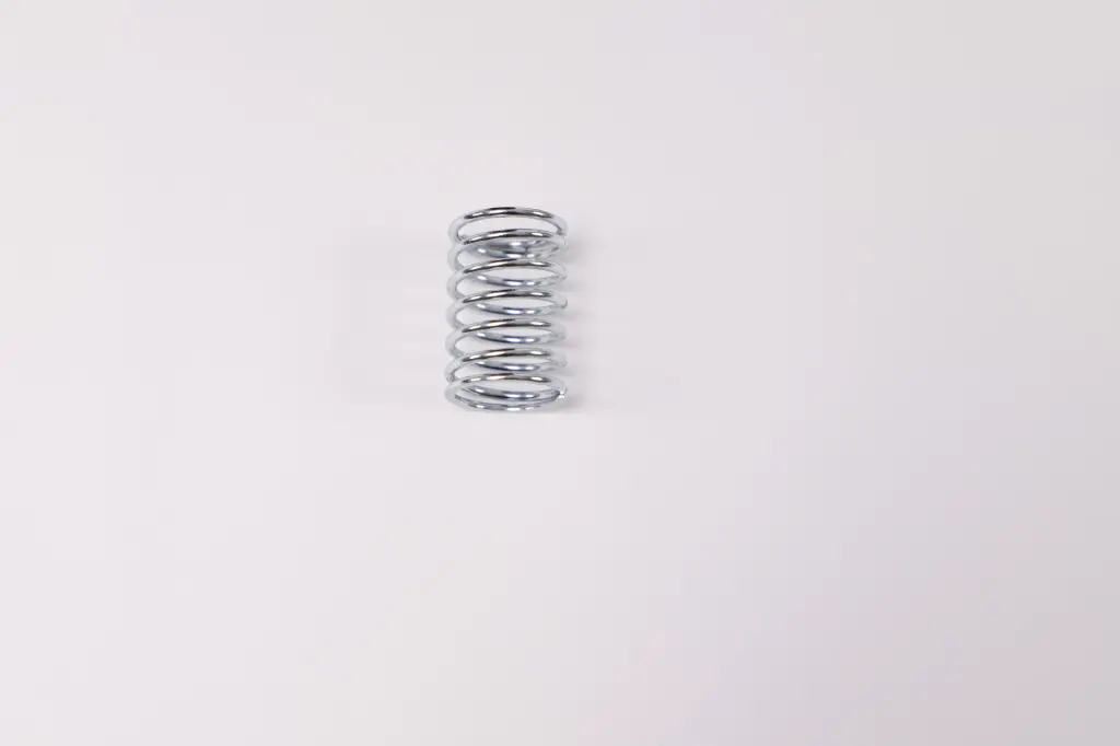 Plunger Spring