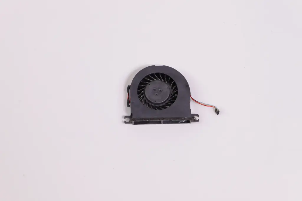 【T30】Fan