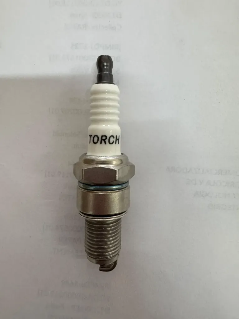 [RIMPDJ-1672 YC.DZ.GR000261.01] D12000iEP - Spark Plug (ZS)