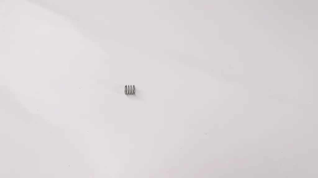 [RIMPDJ-929 YC.JG.TT000100.06] Centrifugal Sprinkler Spring