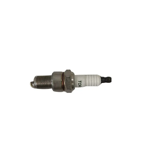 [RIMPDJ-1163 YC.DZ.GR000063.01] D12000i -Spark Plug (RATO)