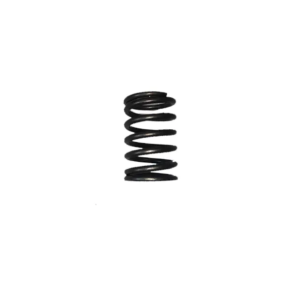 [RIMPDJ-1360 YC.DZ.GR000318.01] D6000i - Valve Spring (RATO)